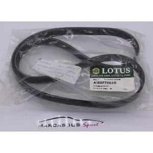 Courroie accessoire de Lotus 1ZR - avec clim