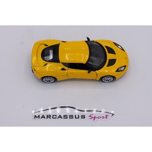 Miniature Lotus Evora